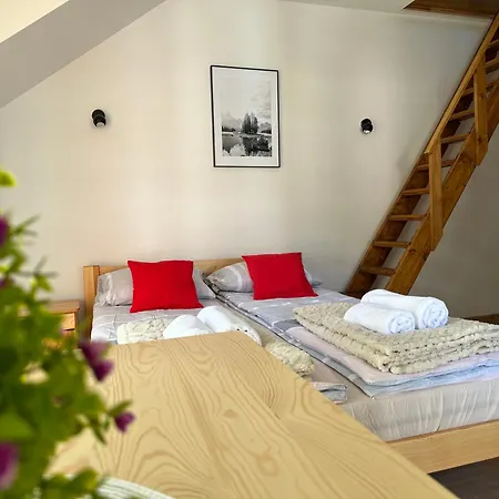 Dom Na Skale Homestay *