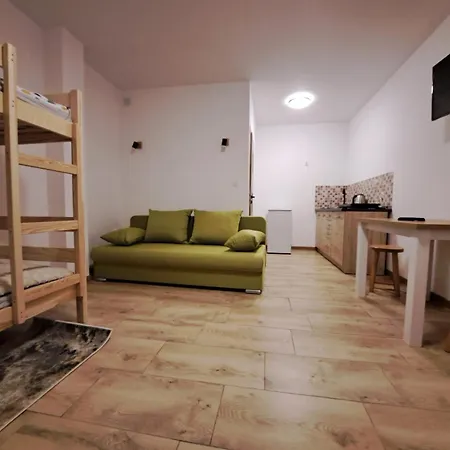 Dom Na Skale * Krynica Zdroj